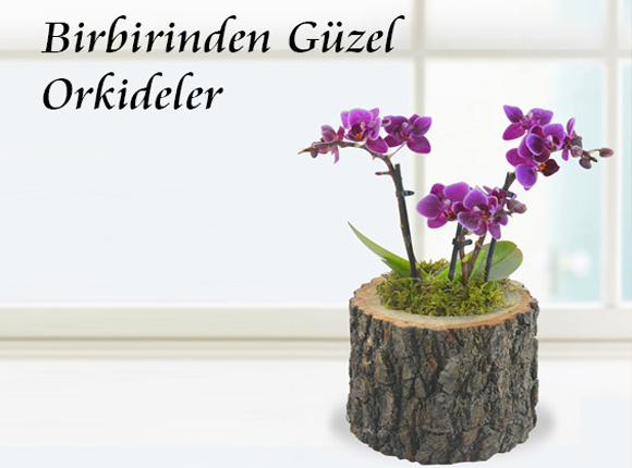 çiçek banner