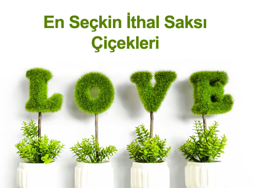 çiçek banner